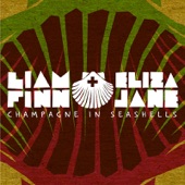 Liam Finn - Honest Face