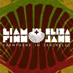 Champagne In Seashells - Liam Finn
