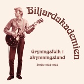 Biljardakademien - Gryningsfolk I Skymningsland