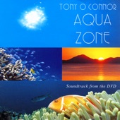 Aqua Zone artwork