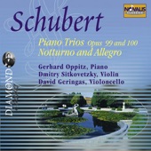Schubert: Piano Trios Op. 99 and 100, Notturno and Allegro artwork