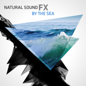 Natural Sound FX: By the Sea - Natural Sounds