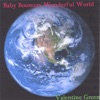Baby Boomer's Wonderful World