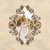 Fern Knight - Hawk Mountain