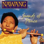 Sounds of Peace artwork