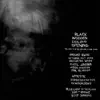 Black Wooden Ceiling Opening - EP album lyrics, reviews, download