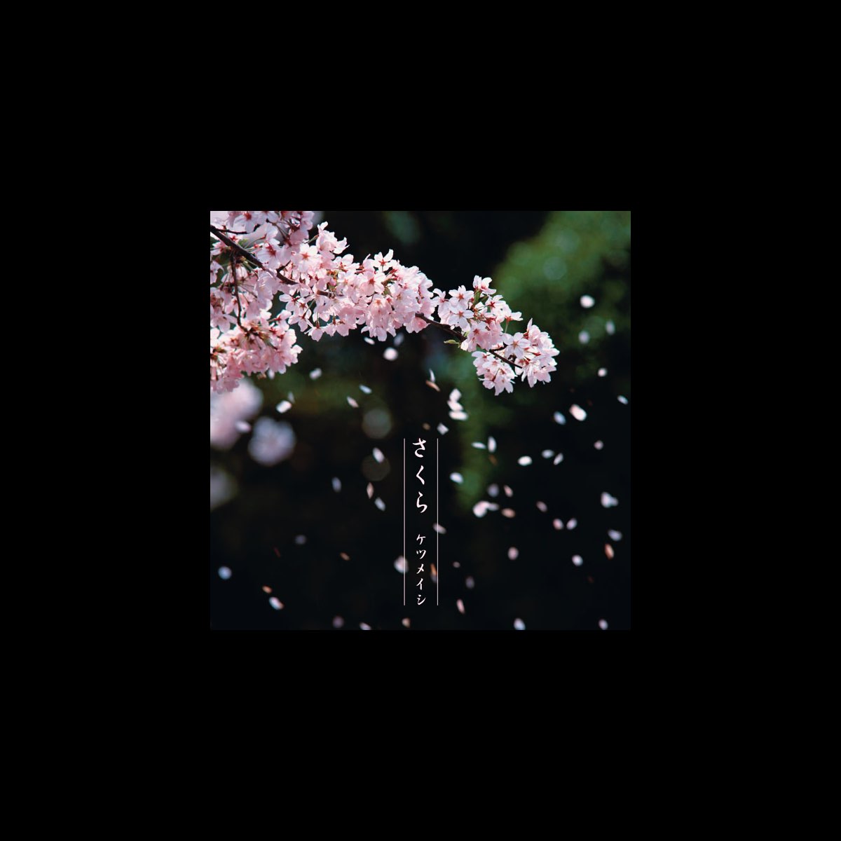 ケツメイシの さくら Single をapple Musicで