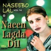 Naseebo Lal - Sara Jeevan Rote