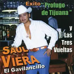 El Gavilancillo - Saul Viera