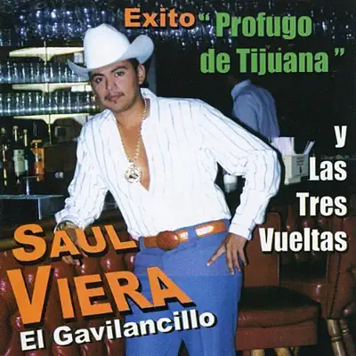 El Gavilancillo - Saul Viera El Gavilancillo - Saul Viera