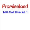 Faith That Sticks, Vol. 1