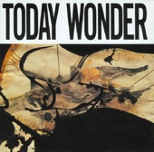 Today Wonder