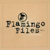 Flamingo Files, Vol. 1 (Mixet Af DJ Noize)