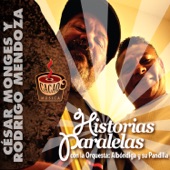 Historias Paralelas artwork