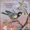 Daniel Sepec, Martin Haselbock & Vienna Academy Orchestra - Violin Concerto In a Major: I. Allegretto