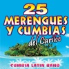 Cumbia Latin Band - Nuestro Anillito