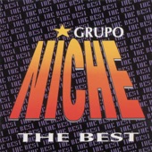 Grupo Niche: The Best artwork