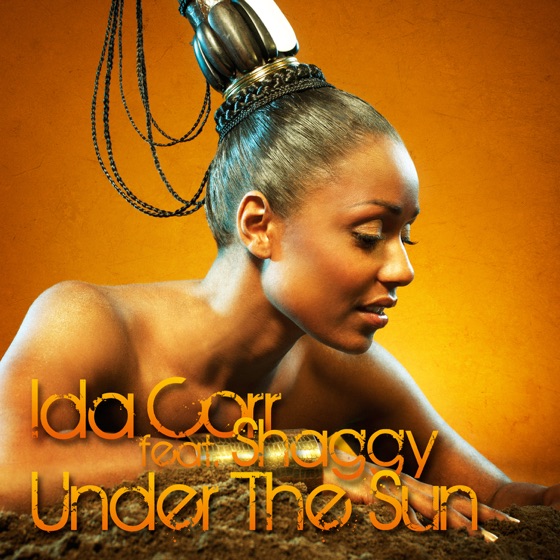 Cover artwork for Under The Sun (Lenny Ibizarre Remix)