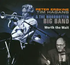Worth the Wait by Peter Erskine album reviews, ratings, credits