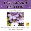 Türk Müzigi Geceleri - Nese'i Muhabbet