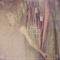 Angels We Have Heard on High - Anna Gilbert lyrics