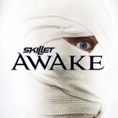 Awake (Deluxe Version) artwork