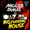 Stream & download Big F*****g House - Single