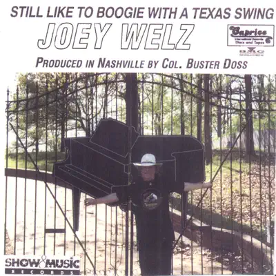 Still Like to Boogie With a Texas Swing - Joey Welz