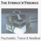 Largo mundo (Slowy&Relaxing) - The Strings'n'Feelings lyrics