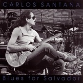 Blues for Salvador artwork