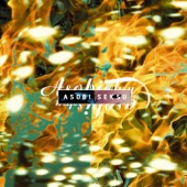 Asobi Seksu - Trails