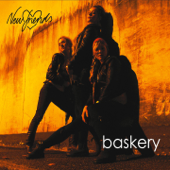 New Friends - Baskery