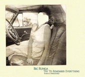 Bic Runga - Dust