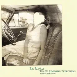 Try to Remember Everything (Rare & Unreleased) - Bic Runga