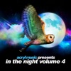 In the Night, Vol. 4