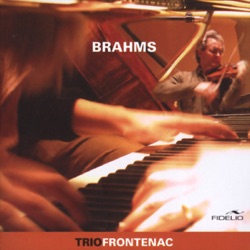 Trio Frontenac - Trio pour violon, violoncelle et piano en si majeur, Op. 8: III. Adagio