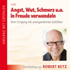 Angst, Wut, Schmerz u.a. in Freude verwandeln - Robert Betz