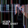 Robo Ghost, 2009