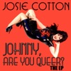 Johnny Are You Queer? - The EP