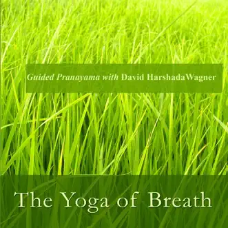 The Yoga of Breath: Guided Pranayama With David Harshada Wagner by Music for Deep Meditation album reviews, ratings, credits