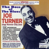 Joe Turner - Flip Flop and Fly