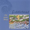 Fiddlehead - My Darling Asleep / Hole In the Hedge / Cailleach an Airgid