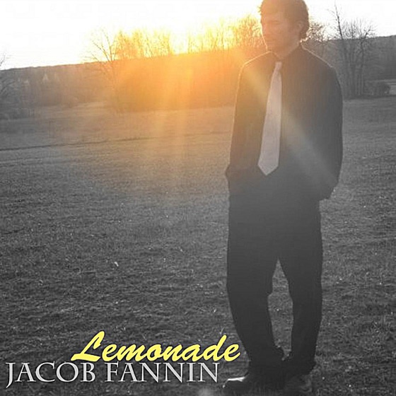 Cover artwork for Lemonade