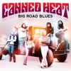 Big Road Blues