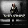 Felicity Urquhart - Big Black Cloud