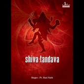 Shiv Tandav Stotra artwork