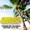 In.Deep - La Isla Bonita (The R.n. Remix)