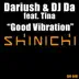 Good Vibration (DJ Remy & Roland Klinkenberg Remix) [feat. Tina] song reviews