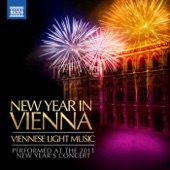 New Year in Vienna - Viennese Light Music Performed At the 2011 New Year's Concert artwork