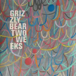 Two Weeks - Single - Grizzly Bear
